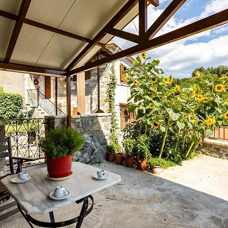 Stemnitsa Stone Residence - Cosy Mountain Escape Екстериор снимка